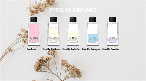 perfume guide for beginners.